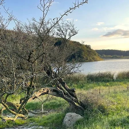 Reethus Koppelkiek - Stilvolles Vintage-haus Mit Kamin & Spielhaus 別荘 Husby