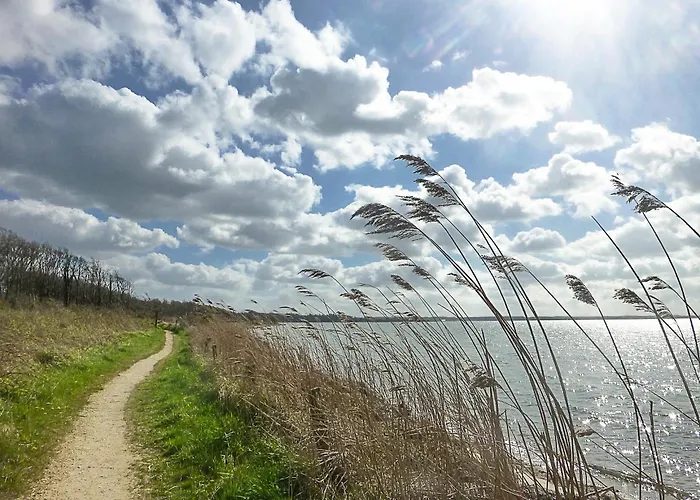 Reethus Koppelkiek Husby (Schleswig-Flensburg)